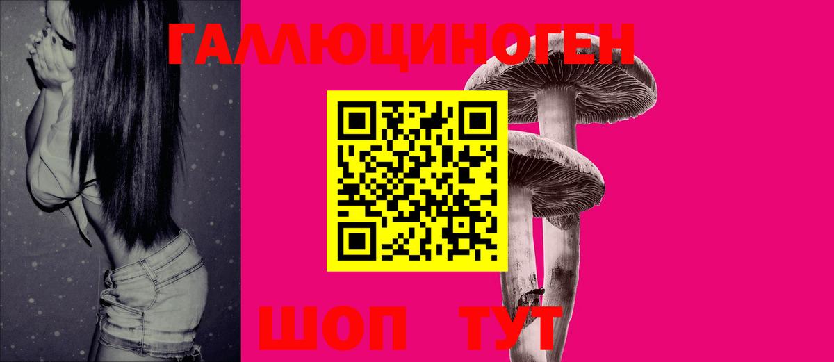 купить наркотики цена  Вход с VPN  Алексин  Галлюциногенные грибы MAGIC MUSHROOMS 